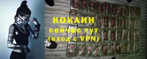 амф Верхний Тагил