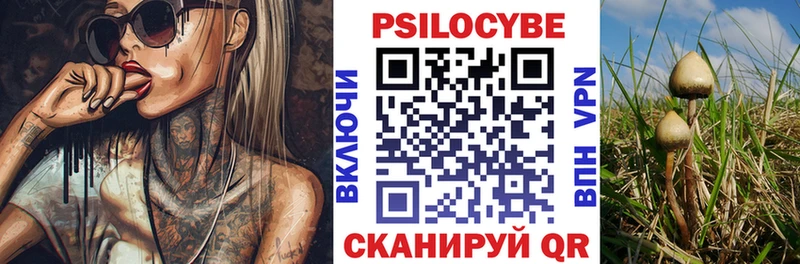 где продают   Среднеуральск  Галлюциногенные грибы мицелий 