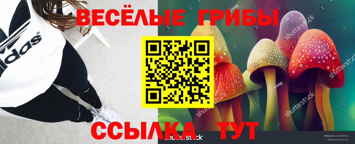 Галлюциногенные грибы мицелий  Вход с VPN  Галлюциногенные грибы Magic Shrooms  Среднеуральск 